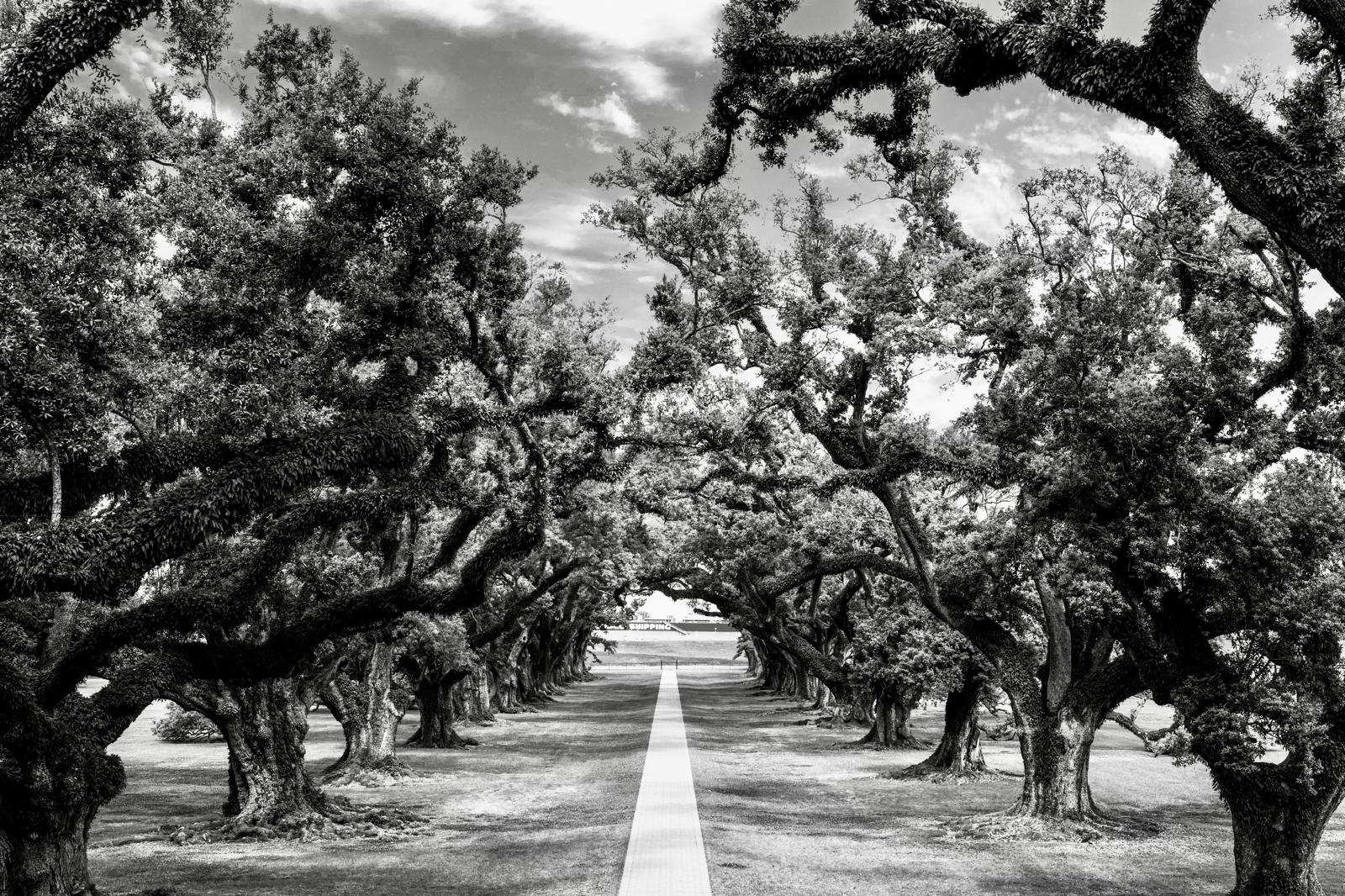 Aurora Montelongo — The Passage